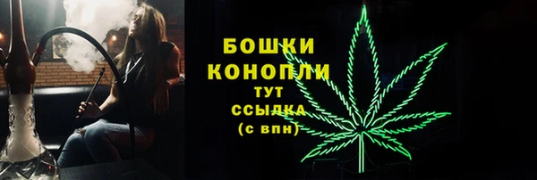 амф Заволжье