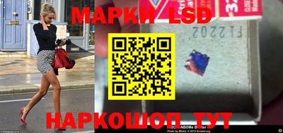 крисы Новозыбков