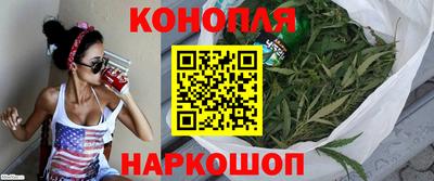 крисы Новозыбков