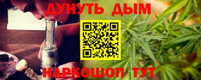 крисы Новозыбков