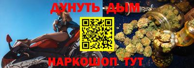 крисы Новозыбков