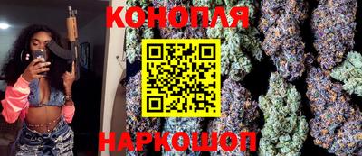 крисы Новозыбков