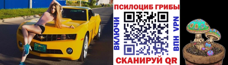 Галлюциногенные грибы ЛСД blacksprut ССЫЛКА Советск