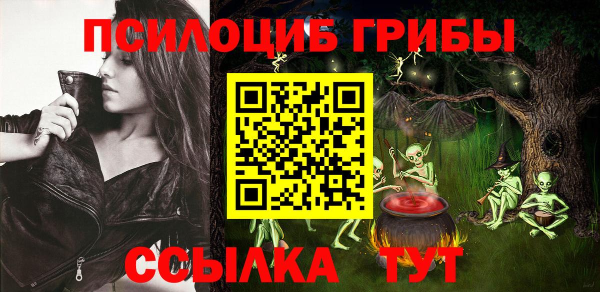 Галлюциногенные грибы MAGIC MUSHROOMS  Вход с VPN  Советск 