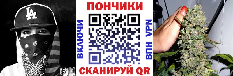 где найти Советск МАРИХУАНА THC 21%